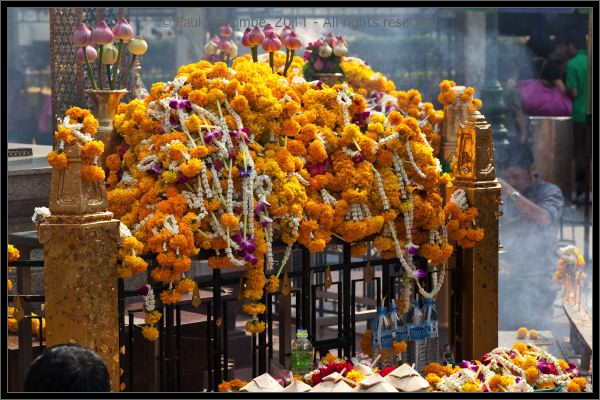 101222Thailand07365