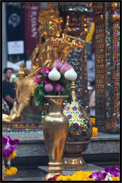 101222Thailand07409