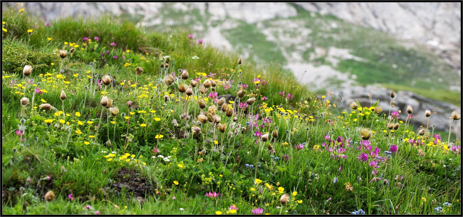 130719Courmayeur02649