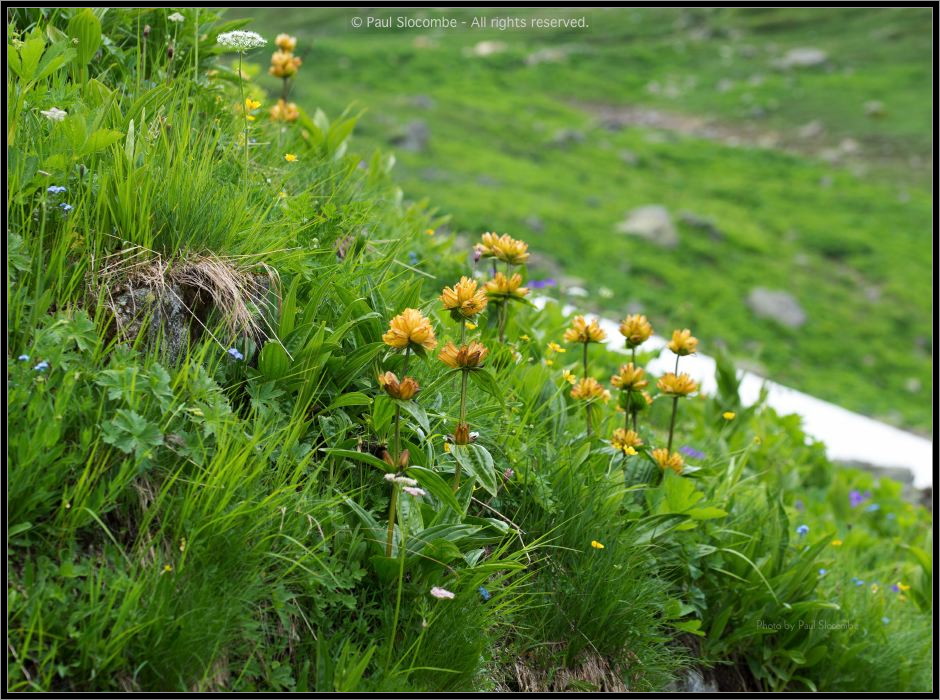 130719Courmayeur02689