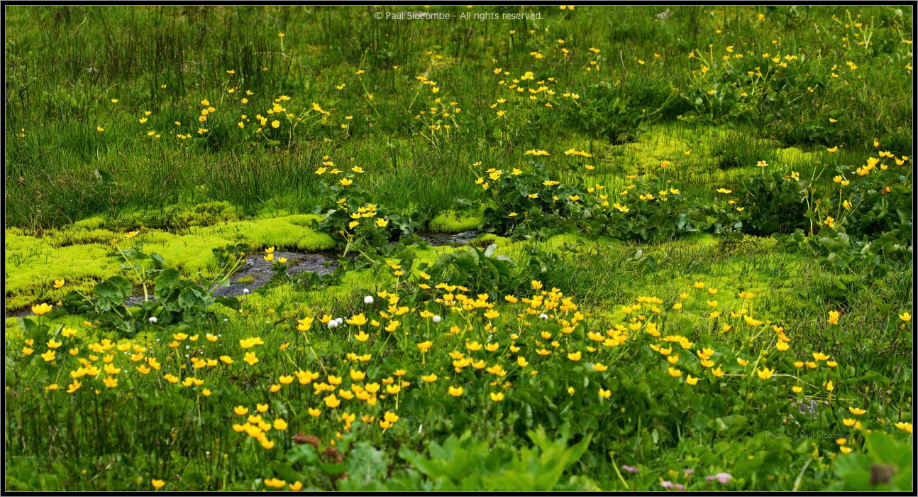 130719Courmayeur02676