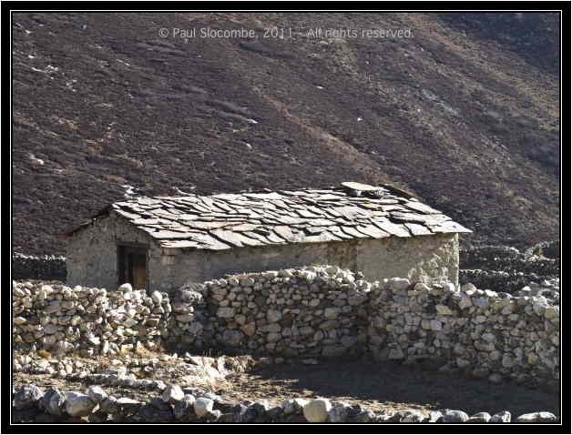 101205dingboche0439