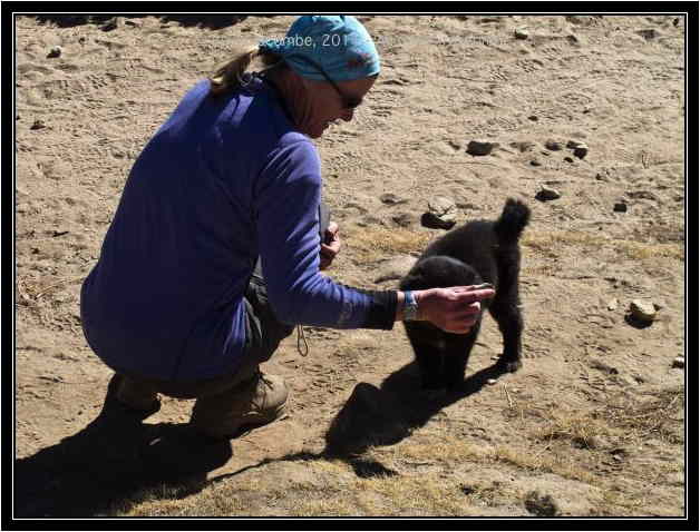 101205dingboche0401