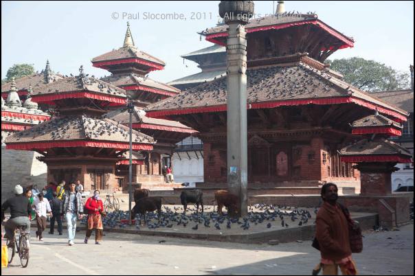 101126kathmandu04797