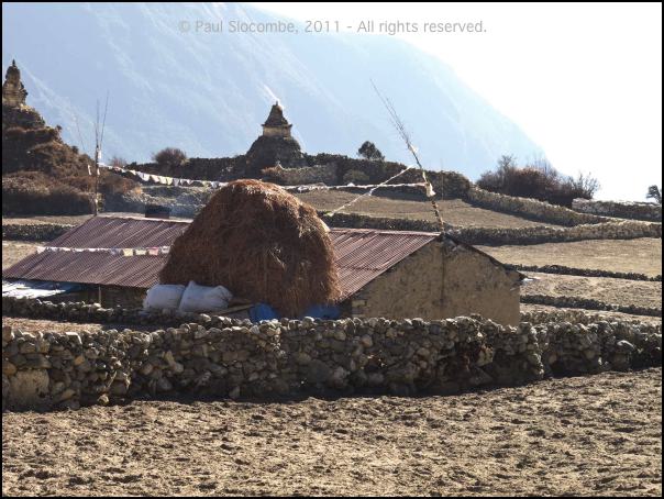 101203phortse0314
