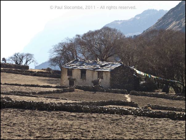 101203phortse0315