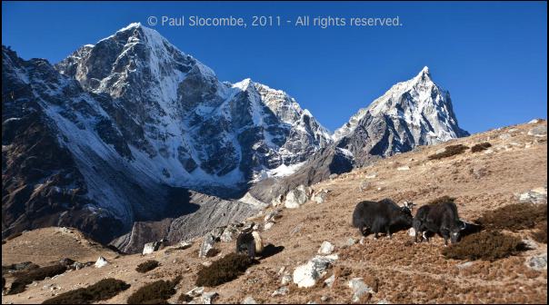 101210tengboche05229