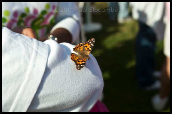 081025raceforcure53065